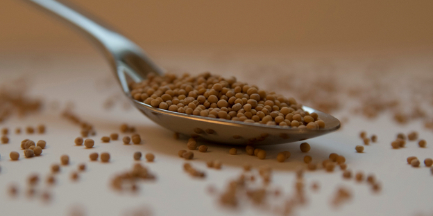 How to Use Mustard Seeds in Cooking: Types, Benefits & Pro Tips