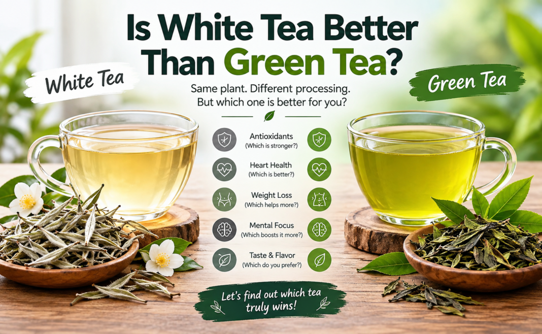 Is White Tea Better Than Green Tea?