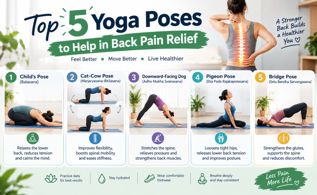 Top 5 Yoga Poses to Help in Back Pain Relief